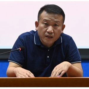 标准检索专家：刘建红